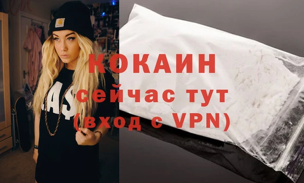 мяу мяу мука Абаза
